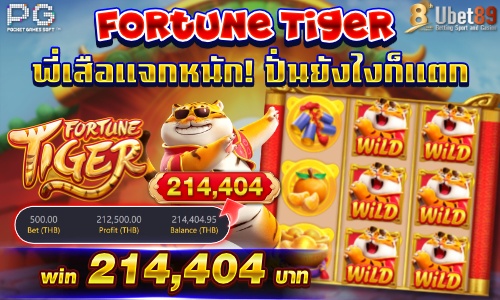 Fortune Tiger